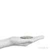 Size Illustration | Dalmatian Jasper Polished Crystal from China | Venusrox