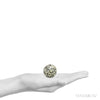 Size Illustration | Dalmatian Jasper Polished Sphere from China | Venusrox